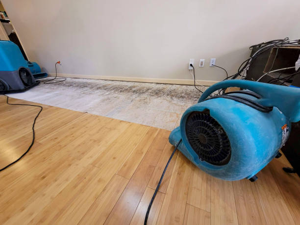 Professional Ceiling Water Damage Repair technician working in Wiggins, MS